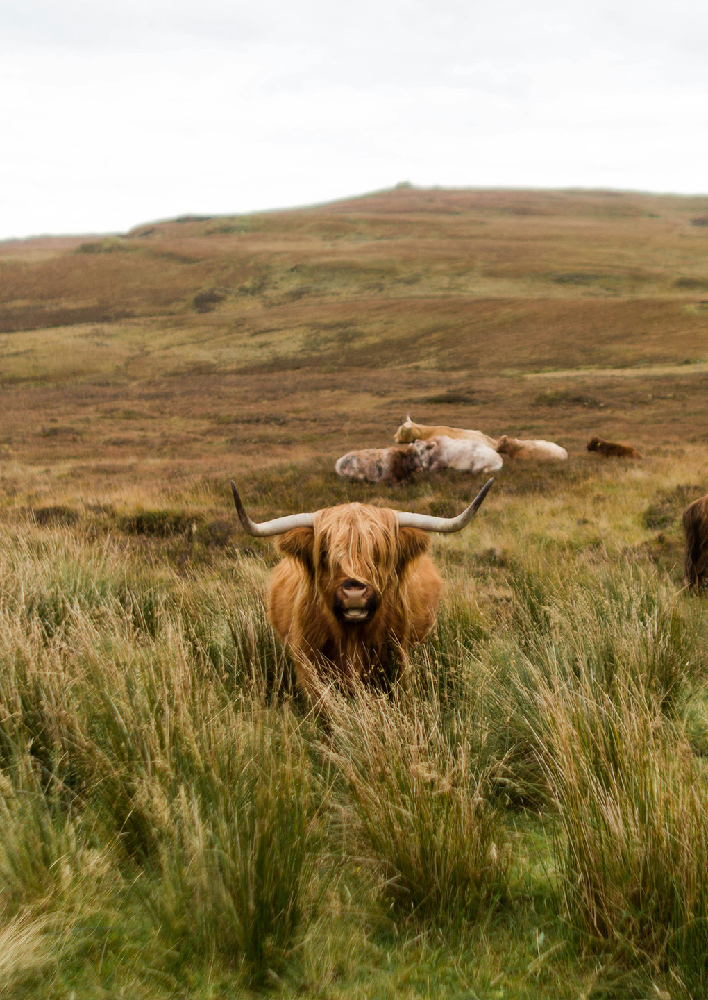 Exploring Hidden Gems: Off-the-Beaten-Path Destinations in the UK for 2025 Exploring Hidden Gems: Off-the-Beaten-Path Destinations in the UK for 2025