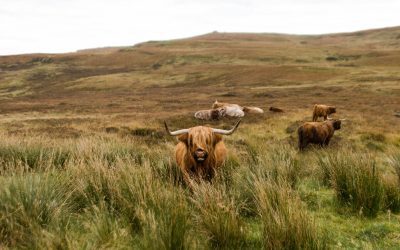 Exploring Hidden Gems: Off-the-Beaten-Path Destinations in the UK for 2025