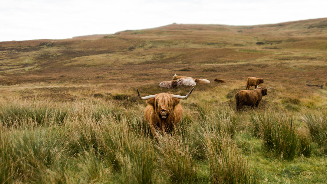 Exploring Hidden Gems: Off-the-Beaten-Path Destinations in the UK for 2025