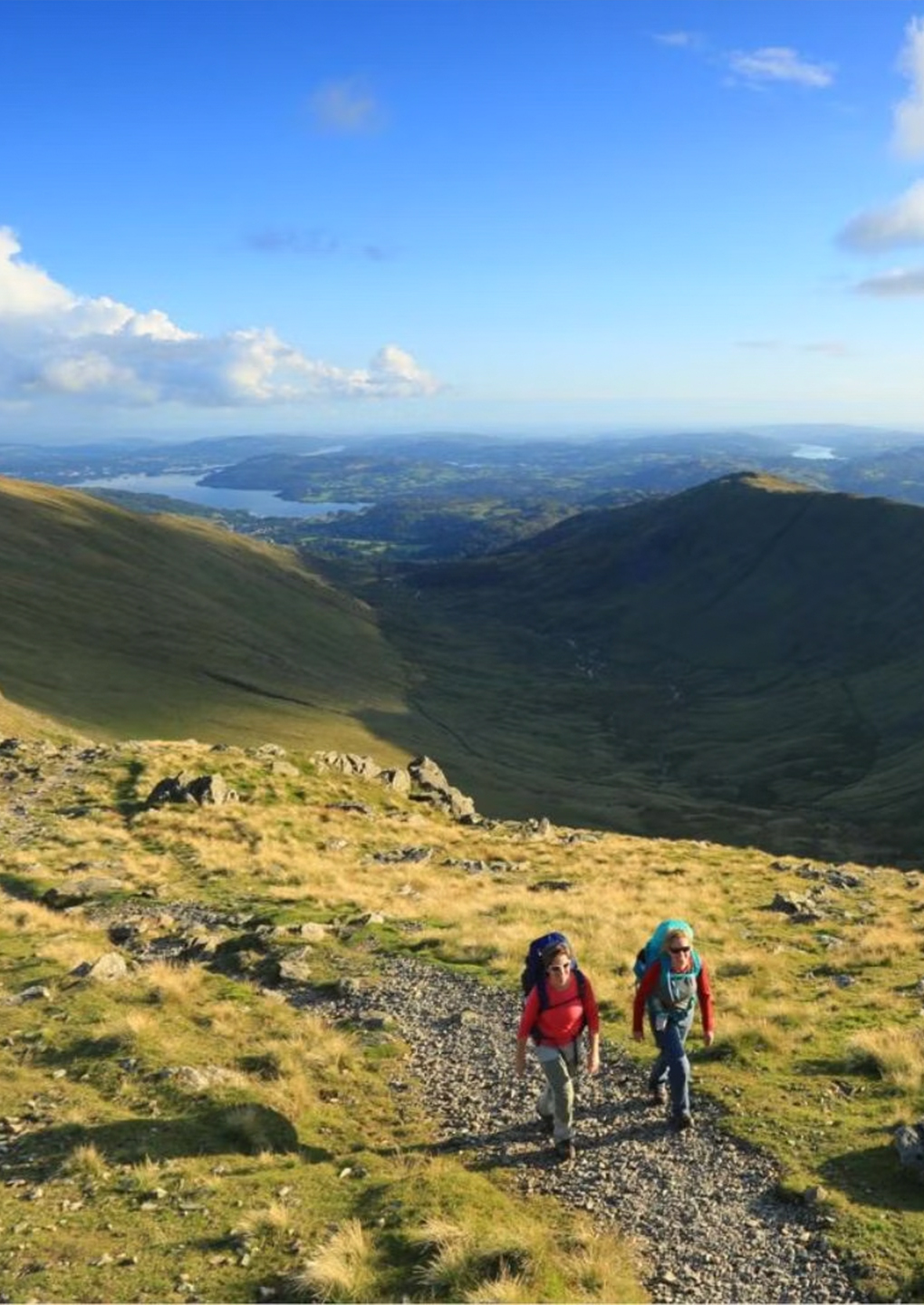 Fairfield Horseshoe Fairfield Horseshoe