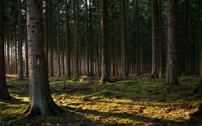 How to Plan a Sustainable Outdoor Adventure in the UK