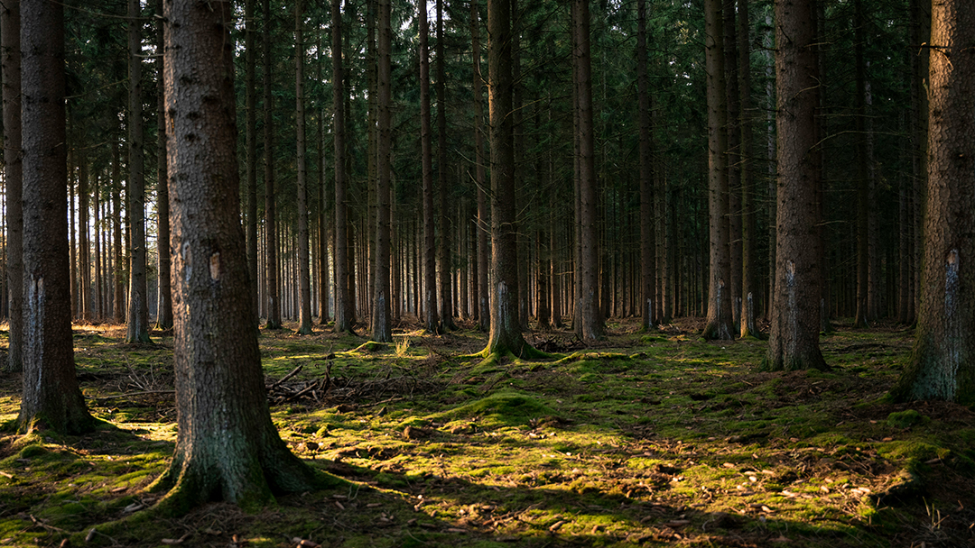 How to Plan a Sustainable Outdoor Adventure in the UK