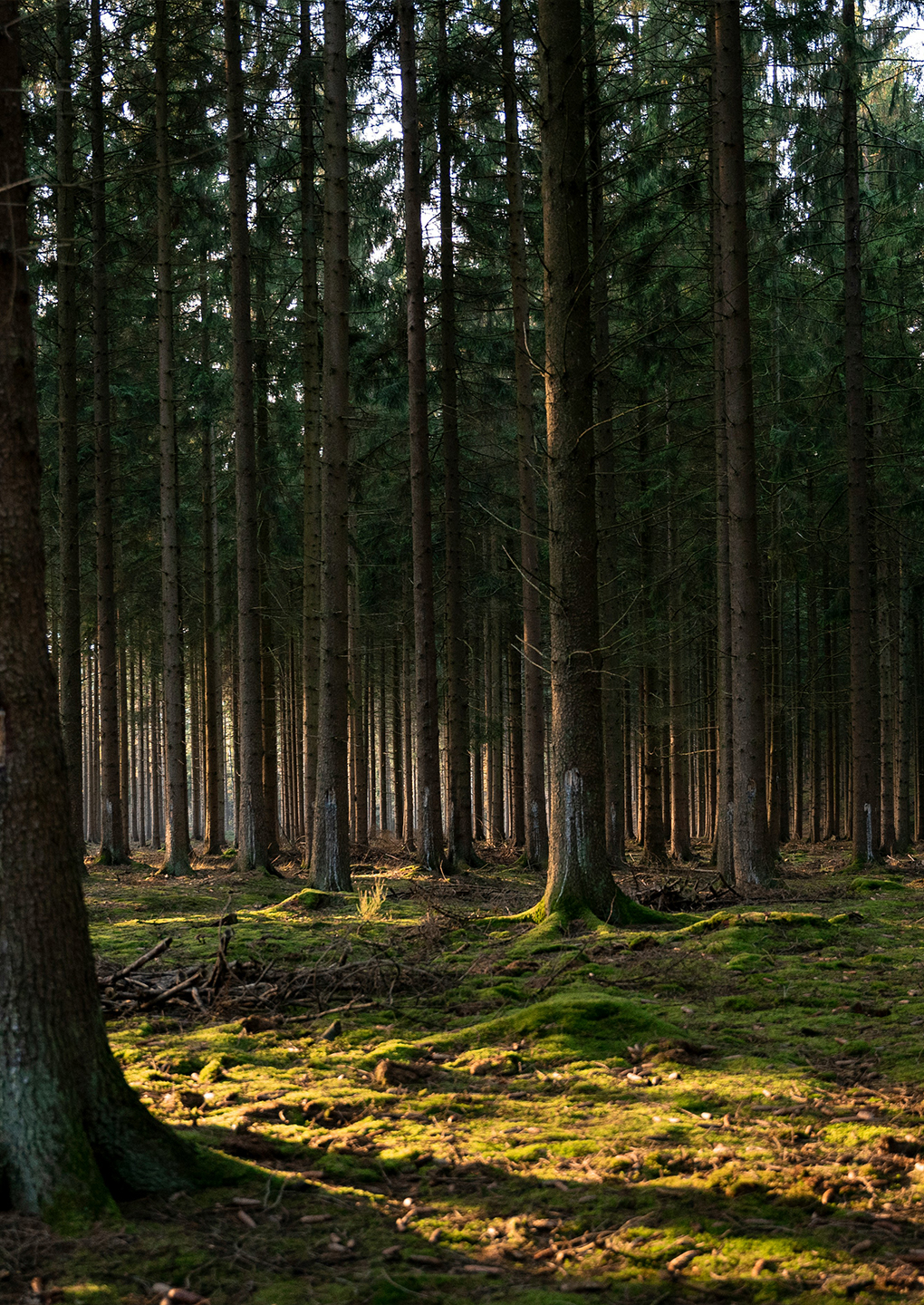 How to Plan a Sustainable Outdoor Adventure in the UK How to Plan a Sustainable Outdoor Adventure in the UK