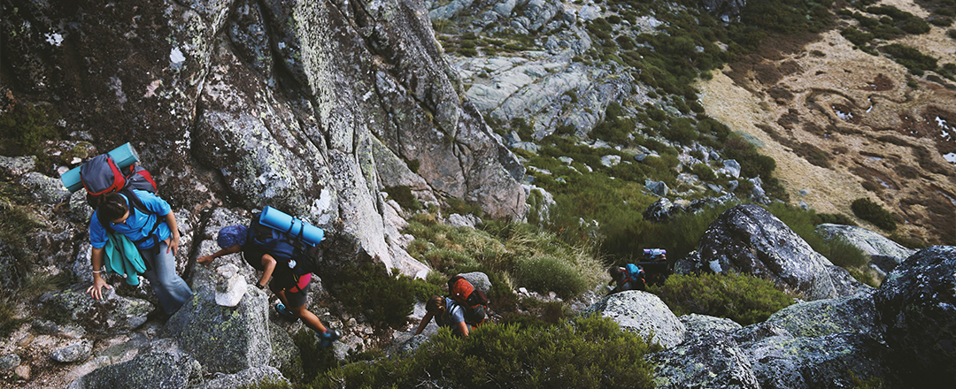 Pack Eco-Friendly Gear Pack Eco-Friendly Gear
