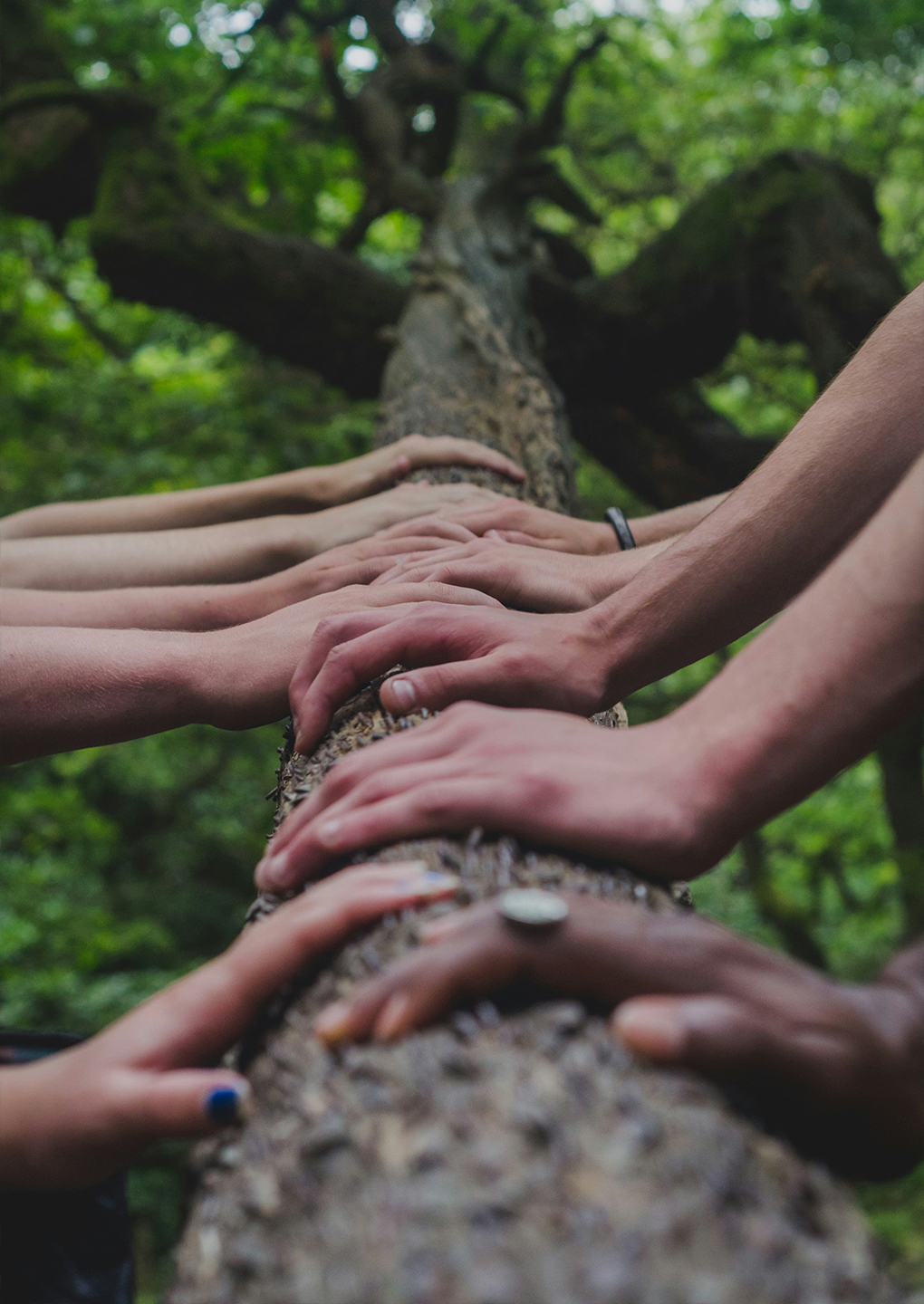 Respect Nature Respect Nature