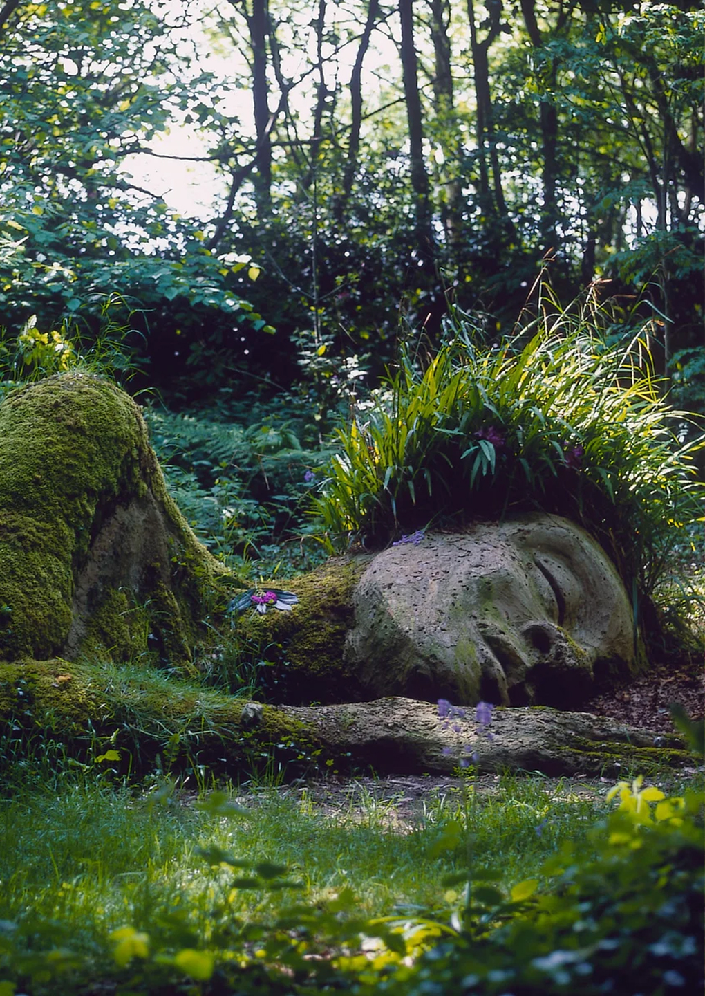 The Lost Gardens of Heligan, Cornwall The Lost Gardens of Heligan, Cornwall