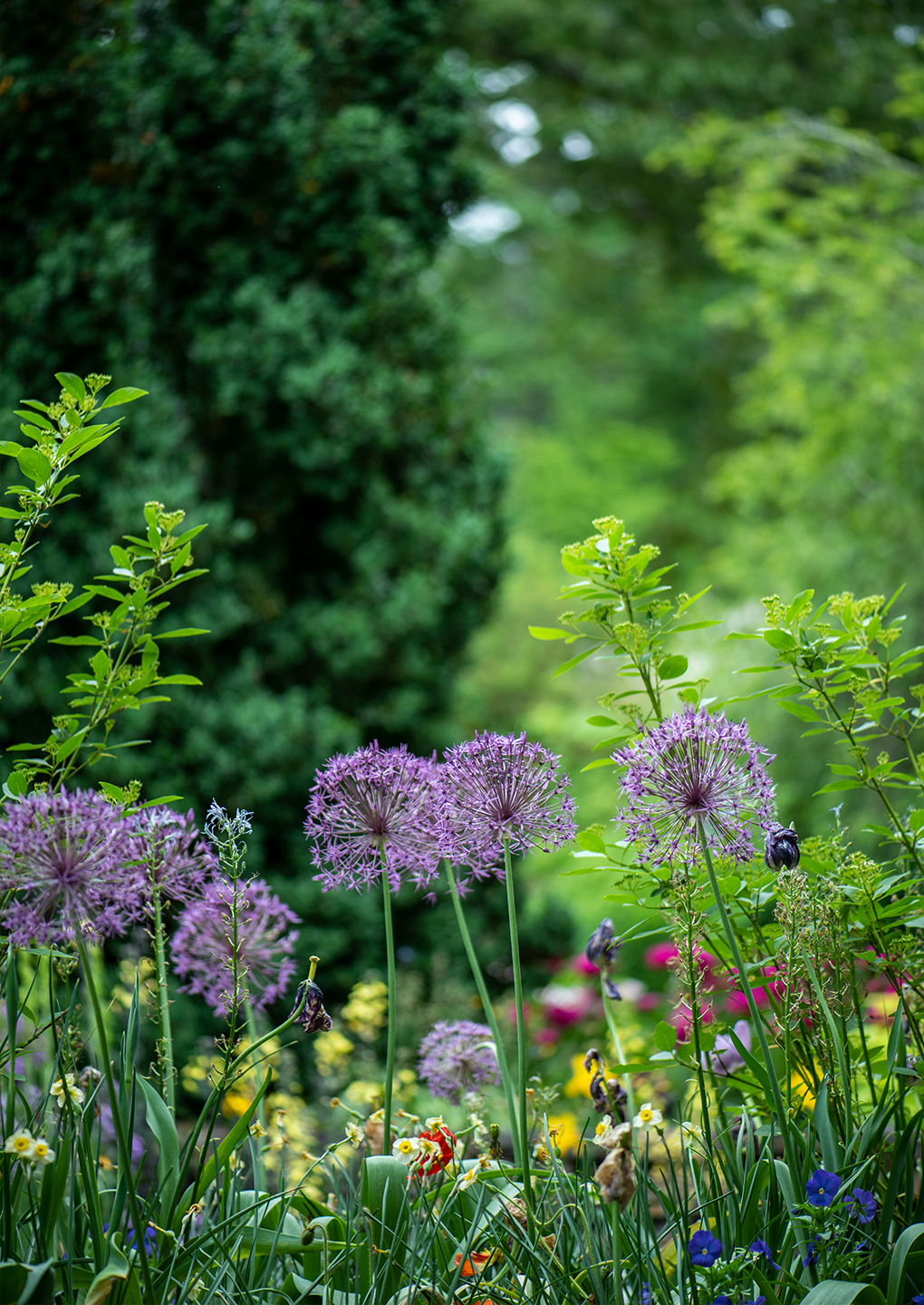 The Rise oF Horti-Culture- Exploring The Best Gardens in the UK The Rise oF Horti-Culture- Exploring The Best Gardens in the UK