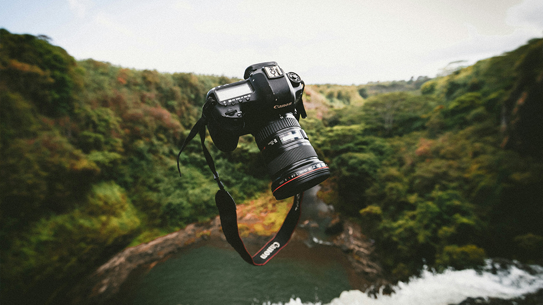 Top 10 Most Photogenic British Wildlife and How to Photograph Them