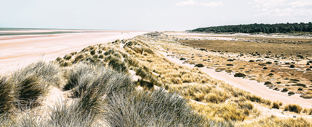 Holkham Beach, Norfolk, England Holkham Beach, Norfolk, England