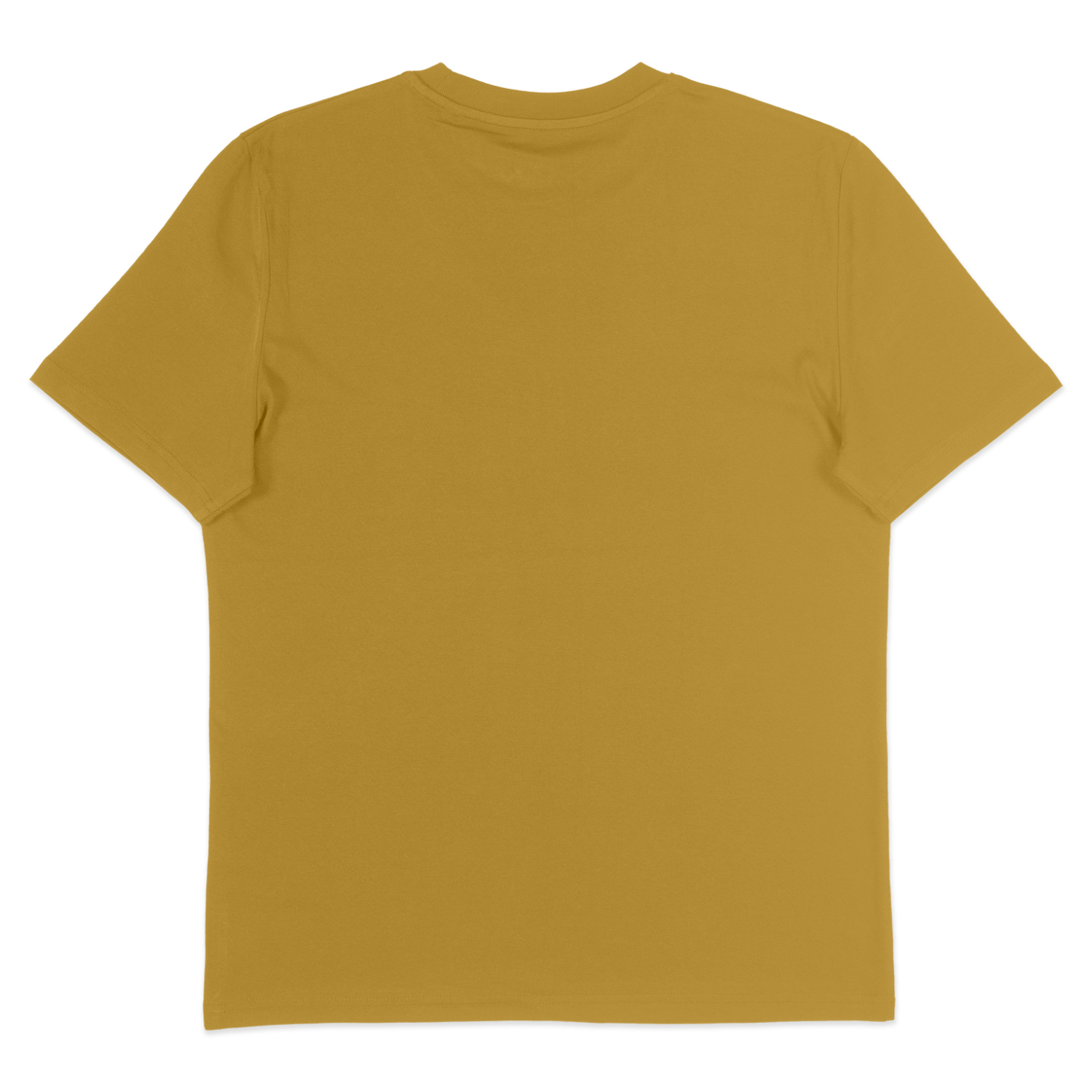 Lion Roar - T-Shirt - Back
